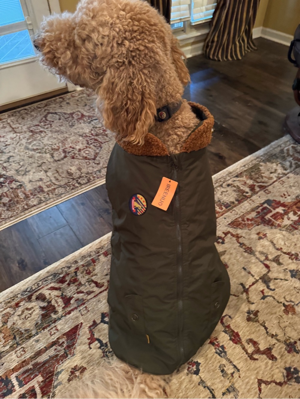 NWT -Ireenuo Dog Coat Waterproof size 4XL